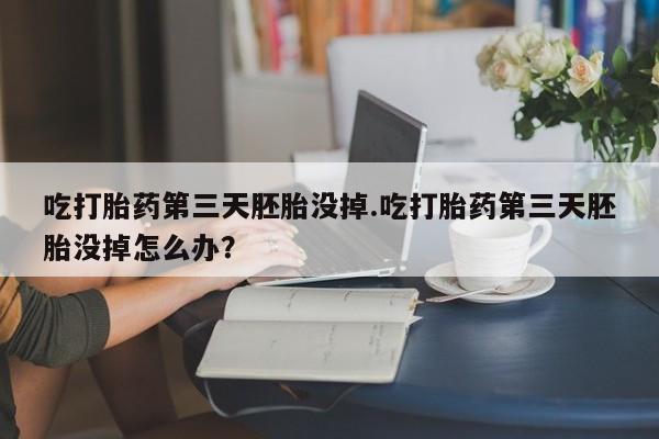 吃什么药可以流产堕胎、吃打胎药第三天胚胎没掉.吃打胎药第三天胚胎没掉怎么办？