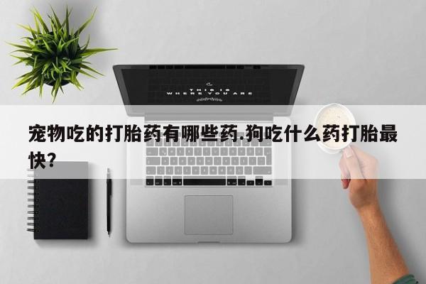 吃什么药可以流产堕胎、宠物吃的打胎药有哪些药.狗吃什么药打胎最快？