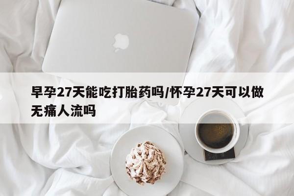 吃什么药可以流产堕胎、早孕27天能吃打胎药吗/怀孕27天可以做无痛人流吗