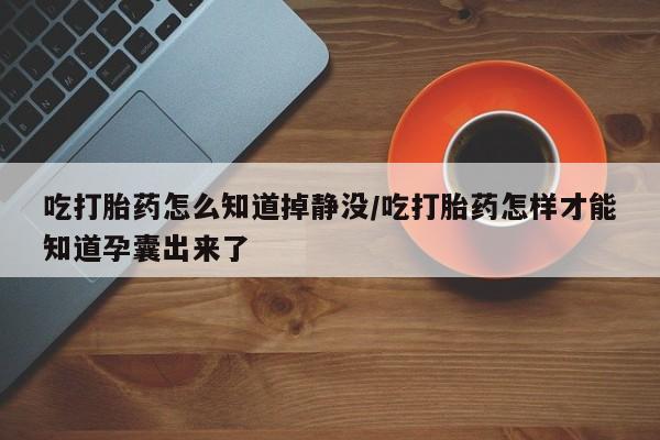 吃什么药可以流产堕胎、吃打胎药怎么知道掉静没/吃打胎药怎样才能知道孕囊出来了