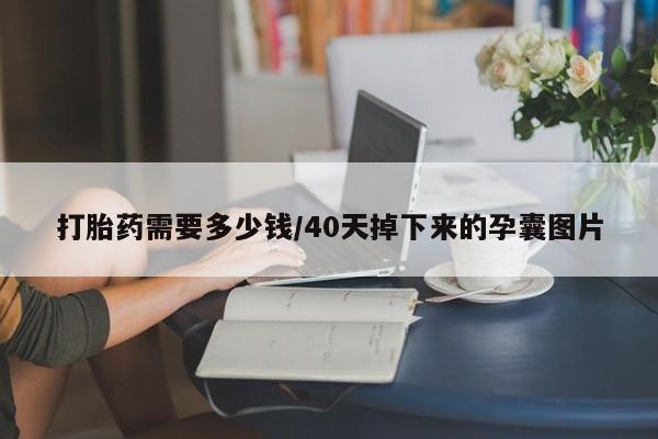 吃什么药可以流产堕胎、打胎药需要多少钱/40天掉下来的孕囊图片