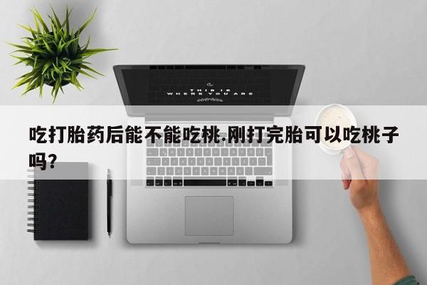 吃什么药可以流产堕胎、吃打胎药后能不能吃桃.刚打完胎可以吃桃子吗?
